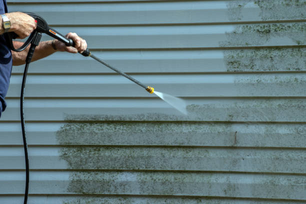 Best Roof Pressure Washing  in USA